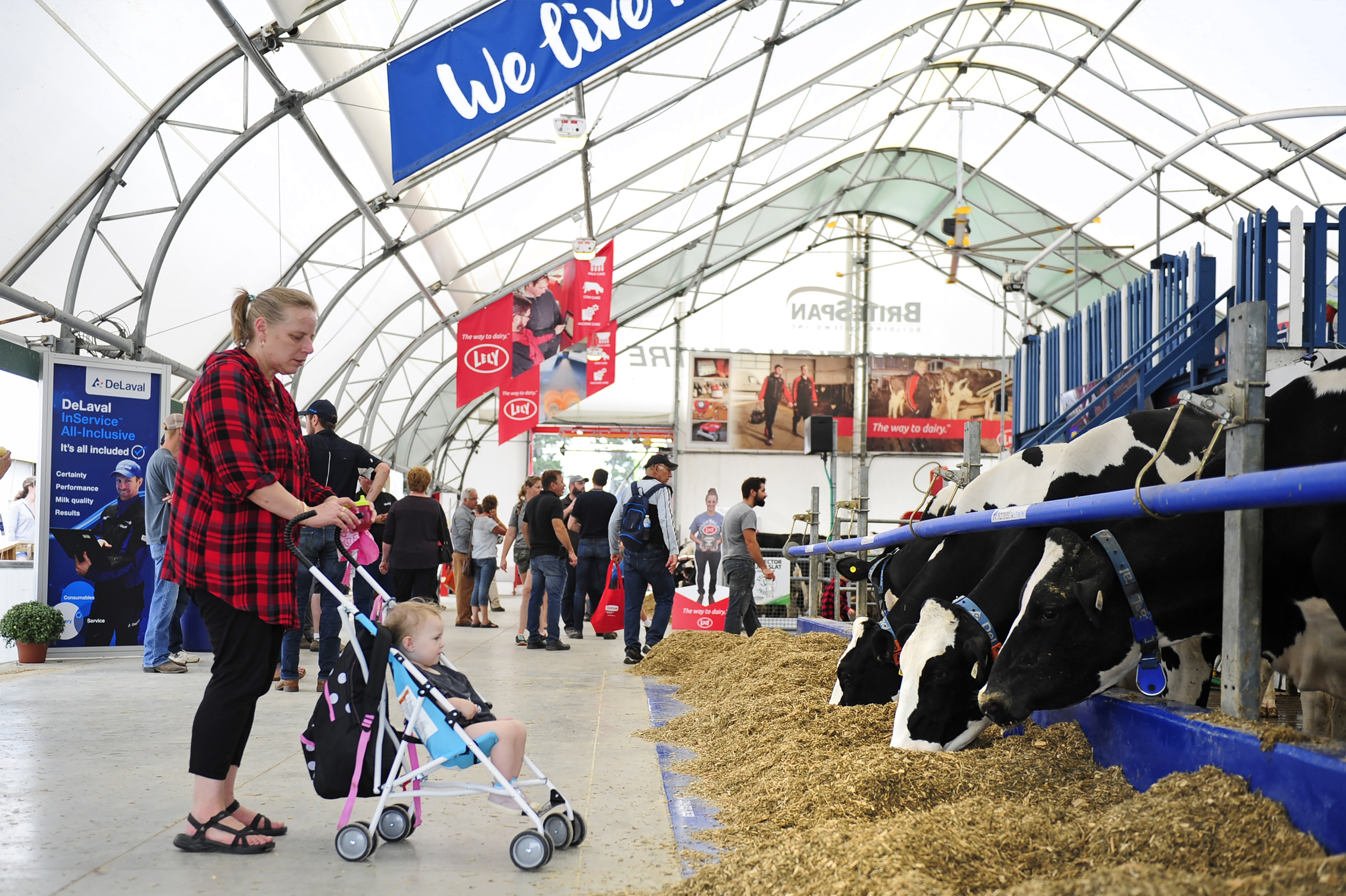 Britespan Dairy Innovation Centre