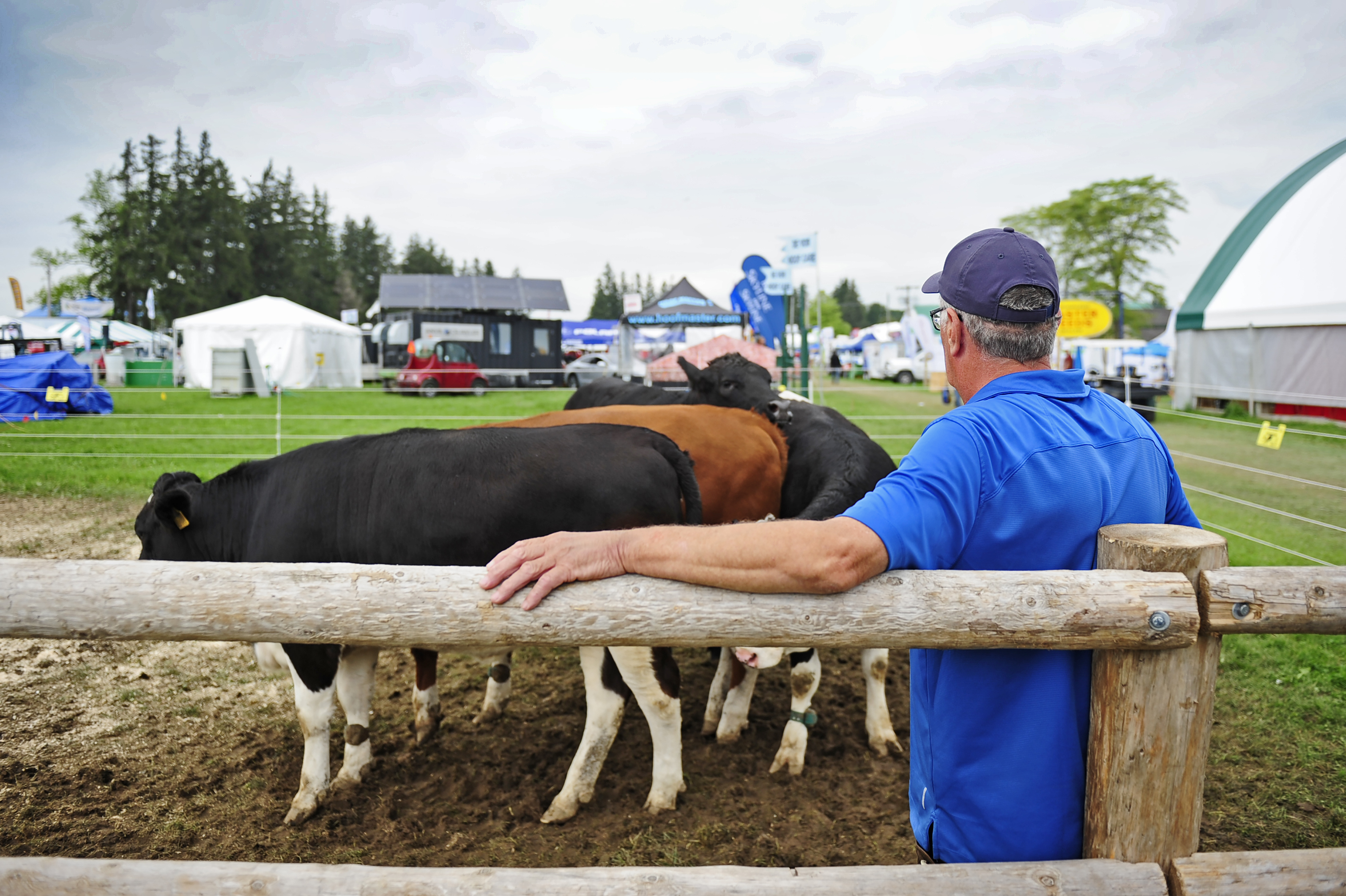 FCC Livestock Central is the Place to Be for Livestock Enthusiasts