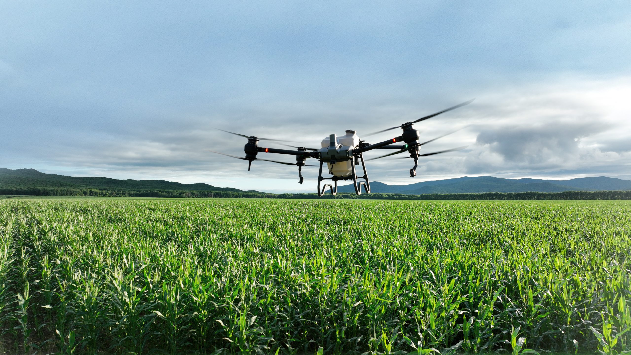 How Drones Revolutionize Farming: Early Disease Detection and Targeted Treatment